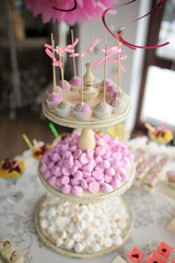 Obraz na płótnie Canvas wedding dessert Cake pops and sweets
