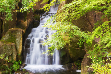 Beautiful Waterfalls in forest.