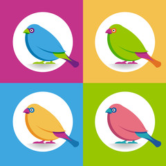 Multicolor birds on the multicolor backgrounds