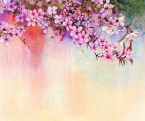 Fototapety  Akwarela malarstwo Wiśniowe kwiaty - wiśnia japońska - różowy Sakura kwiatowy w miękkim kolorze na tle przyrody niewyraźne. Wiosenny kwiat sezonowy charakter tła