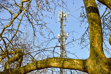 Mobilfunkmast mit Bäumen vor blauem Himmel