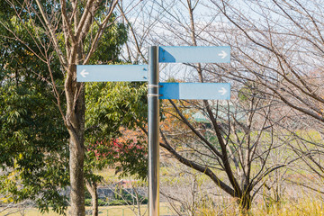 Blank direction blue signpost.