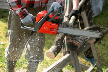 chop wood Chainsaw