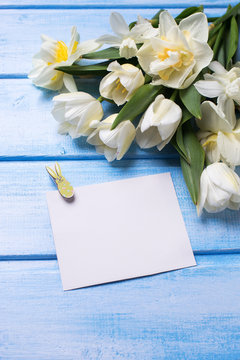 Background   with fresh narcissus and tulips and tag for text