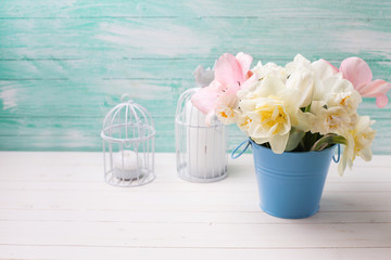 White narcissus and pink tulips in  blue bucket   on white paint