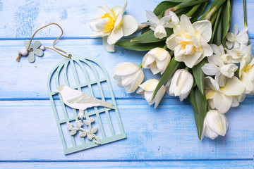 White tulips and narcissus flowers and decorative bird   on blue