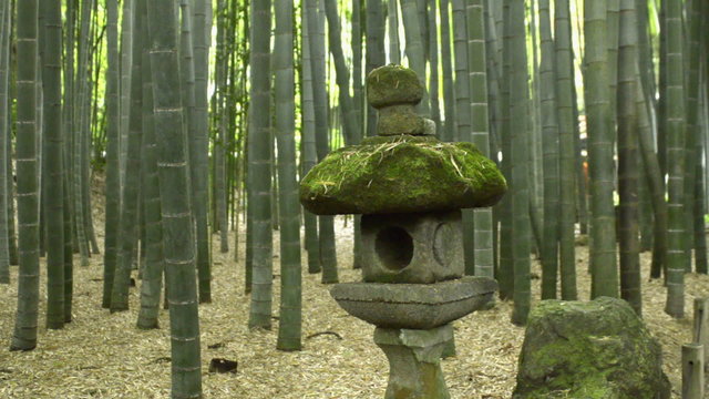 Old Japanese stone lantern at Hokokuji Temple's Bamboo Garden in Kamakura 