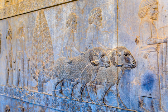 Ancient persian carving in Persepolis - Iran