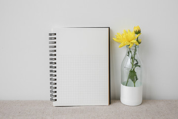Notepad and plants pots, room interior mockup, copy space background