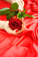 Red Rose in female hands on a background of red silk