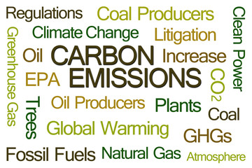 Carbon Emissions Word Cloud