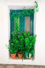 Plants in pots in front of the door of a traditional greek house in the village Manolates on the aegean island Samos