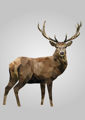 Obraz premium Deer animal standing and looking vector