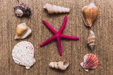 flat lay seashells set on twine background
