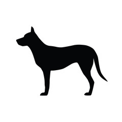 Vector image of an dog on white background