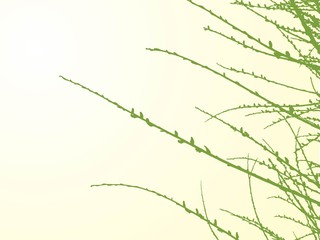Vector branches on white background 