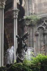 Cathédrale de Barcelone, patio
