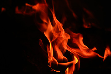 Fototapeta premium Fire