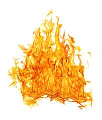 bright orange dense fire on white background