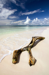 Naklejka premium Saona Tropical Beach Dominican Republic Caribbean 
