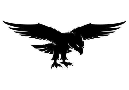 Sign of eagle.