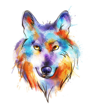Colorful watercolor wolf's head