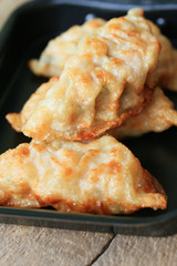 fried dumplings - Japanese food