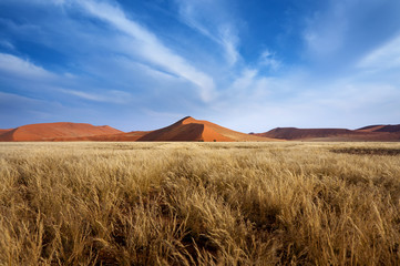 Red Dunes in Sossusvlei, in the Namib Desert, Namibia