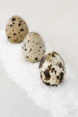 Quail Eggs on Sea Salt