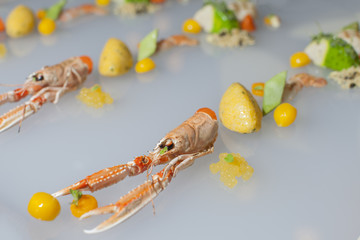 Colorful modern decoration Finger food Fruits of the sea with fresh scampi, selective focus 