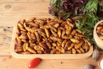 Silkworm pupae