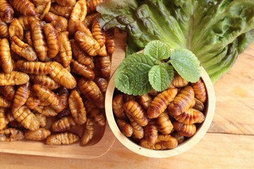 Silkworm pupae