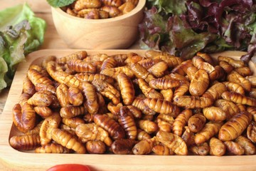 Silkworm pupae