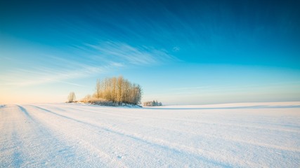 Winter snowy field landscape - 102418766