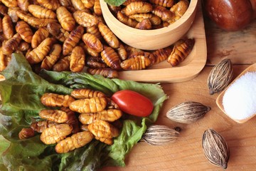 Silkworm pupae
