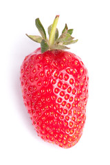 Red berry strawberry