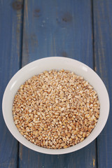 spelt in white bowl on blue wooden background