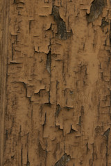 abblätternde braune Farbe auf Holz