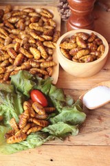 Silkworm pupae