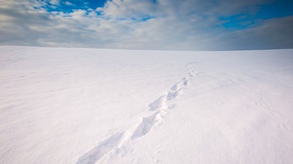 Fototapeta na wymiar Winter snowy field landscape