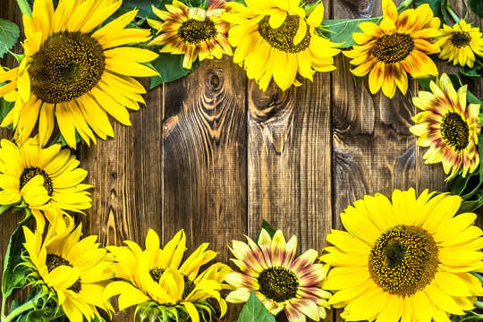 Sunflowers on rustic wood background. Flowers backgrounds.