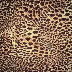 texture of print fabric striped leopard - 102422156