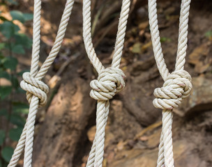 close up of knotted rope