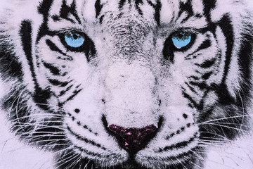Obrazy na Szkle  tekstura nadruku w paski biała twarz tygrysa