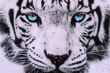 Crédence de cuisine en verre imprimé Tigre texture du tissu imprimé à rayures le visage du tigre blanc