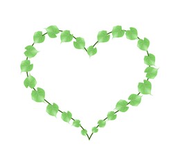 Fresh Green Vine Leaves in A Heart Shape