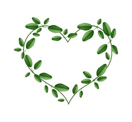 Fresh Green Leaves in A Heart Shape