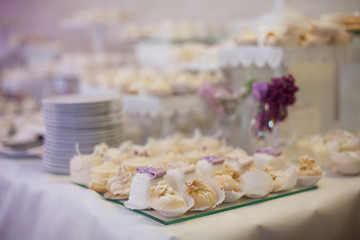 Obraz na płótnie Canvas Delicious & tasty white decorated cupcakes at wedding reception