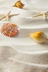 starfish and and shells on sand, summer concept