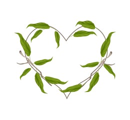Evergreen Leaves in A Heart Shape Wreath